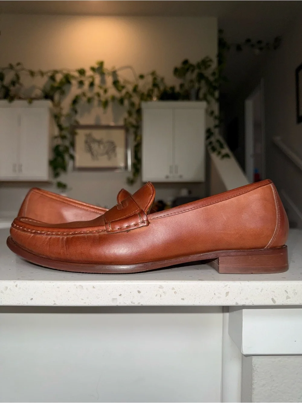 Cole Haan Men's Penny Loafers in Chestnut Brown